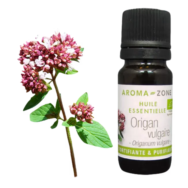 AZ Aceite Esencial de Oregano 10ml Vulgare Organico  Puro