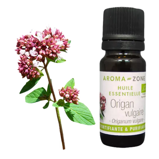 AZ Aceite Esencial de Oregano 10ml Vulgare Organico  Puro