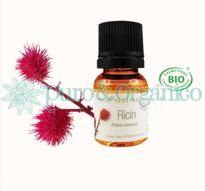 Aroma Zone Aceite de Ricino Bio Organico-10 ml