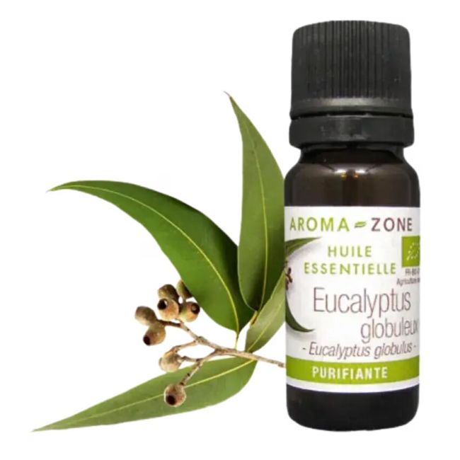 Aroma Zone Aceite Esencial de Eucalipto Orgánico 10ml - 100% Puro Aromaterapia