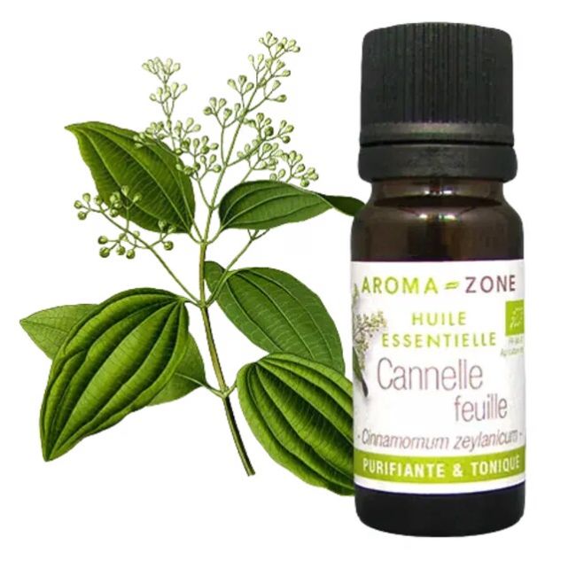 Aroma Zone Aceite Esencial de Canela Hojas 30ml Organico Feuille