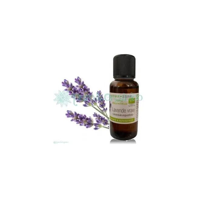 Aroma Zone AZ Aceite Esencial de Lavanda 30ml Organica Puro (Lavandula angustifolia) Vraie