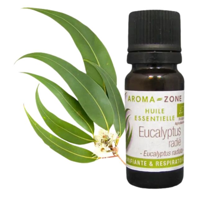 Aroma Zone AZ Aceite Esencial de Eucalipto Radiata 10ml Puro Organico Bogota