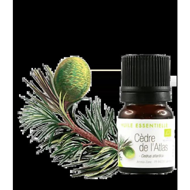 Aroma Zone Aceite Esencial De Cedro De Atlas 2ml Cedrus Atlantica