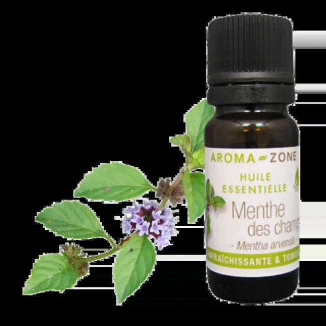 Aroma Zone Aceite Esencial de Menta de Campo 30ml Organico Menthe de Champs
