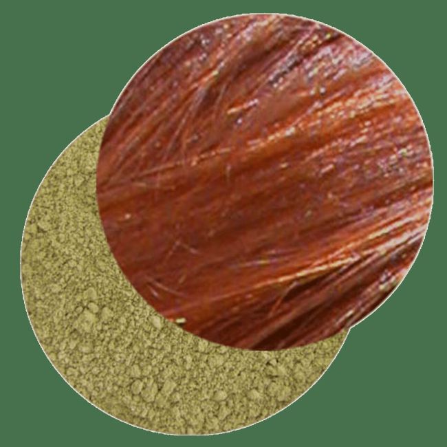 AZ Hena de Egipto 250gr Puro (Lawsonia inermis)